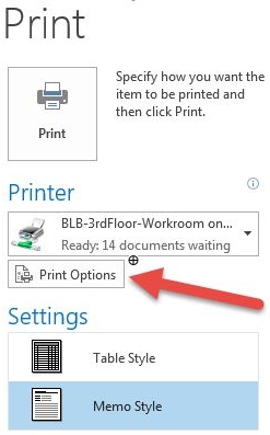 Screenshot of print options button